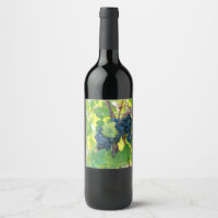 black grape grows on vineyard