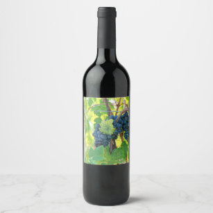 black grape grows on vineyard wine label