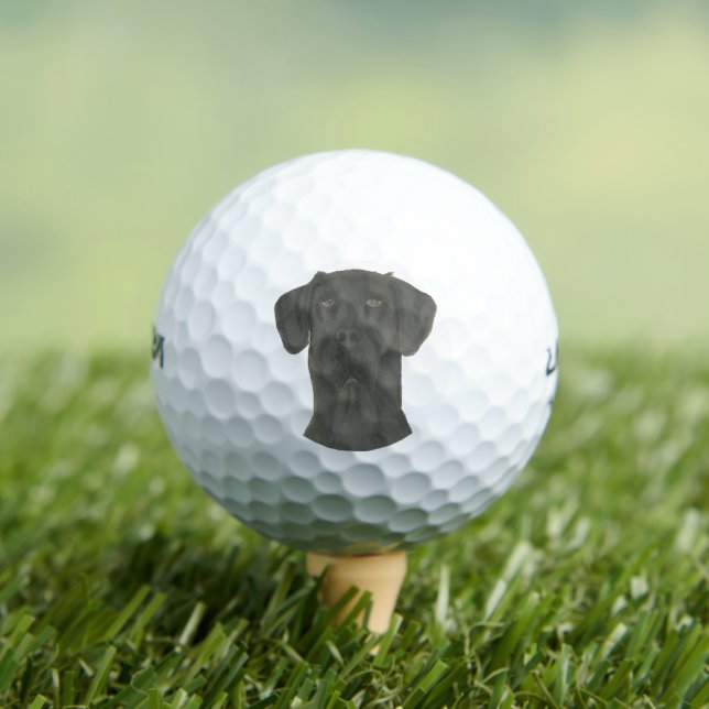 Black Great Dane Golf Balls (Insitu Tee)