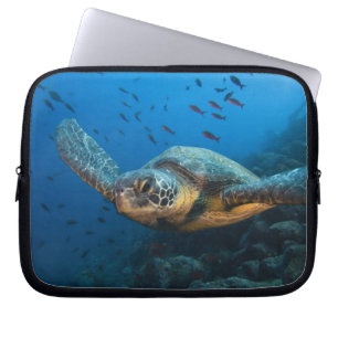 Black (Green) Turtle (Chelonia agassizi) Laptop Sleeve