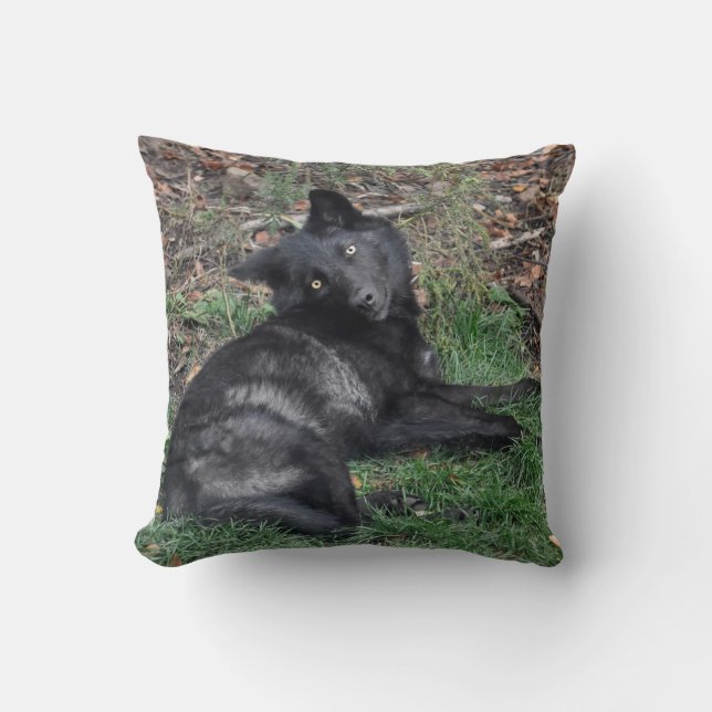 Black Grey Wolf Pup Wildlife Throw Pillow (Front)