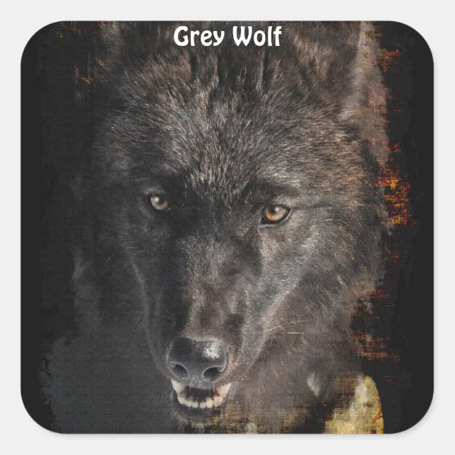 Black Grey Wolf Wildlife Supporter Stickers 