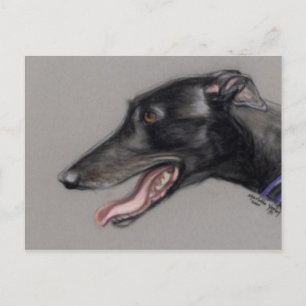 Black Greyhound Original Dog Art Postcard