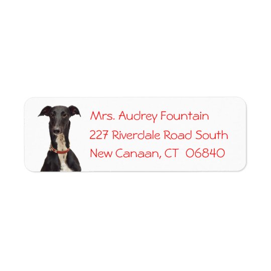 Black Greyhound Puppy Dog Red Return Address Return Address Label
