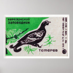 Black Grouse Matchbox Art Print, Russian Vintage Poster