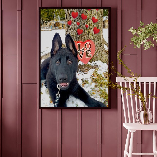 Black GSD Puppy with Hearts & Big Love Valentine Poster (Creator Uploaded)