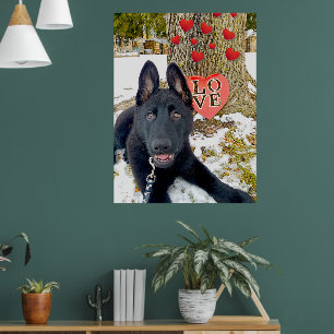 Black GSD Puppy with Hearts & Big Love Valentine Poster
