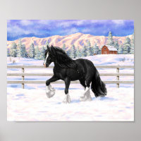 Black Gypsy Vanner Irish Cob Draft Horse In Snow