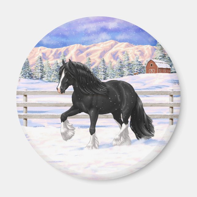 Black Gypsy Vanner Irish Cob Draught Horse In Snow Magnet (Front)