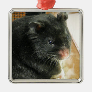 Black Hamster Photo Metal Tree Decoration