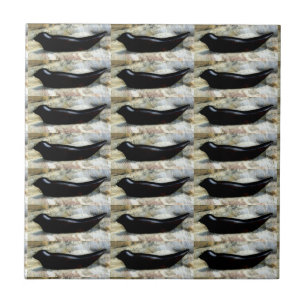 black harbour seal tile