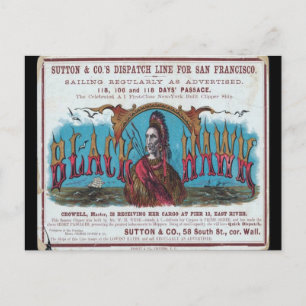 Black Hawk Clipper Sailing  Postcard