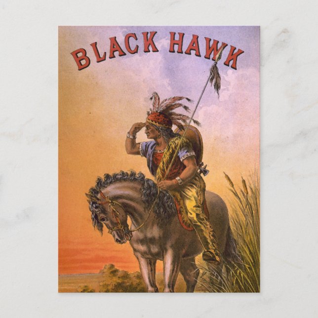 Black Hawk Native American Indian Postcard (Front)