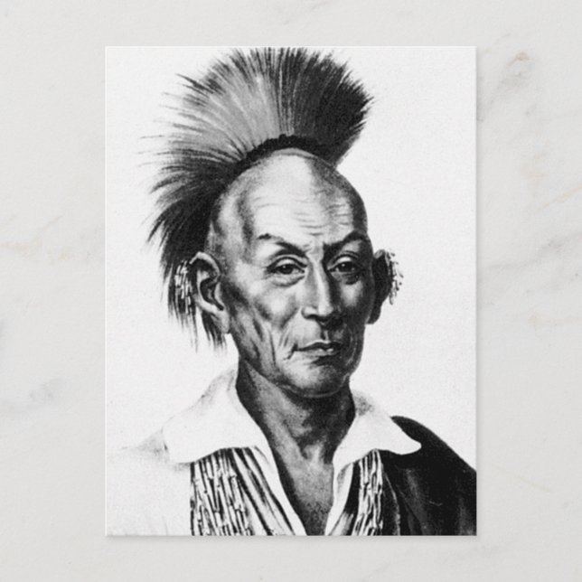 Black Hawk ~ Sac Sauk Indian Chief Postcard (Front)
