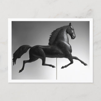 Black Hawk Weathervane Postcard