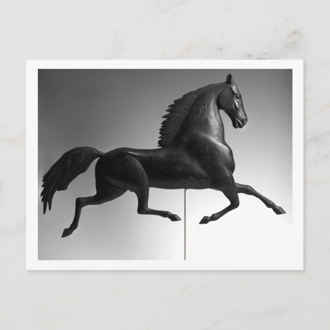 Black Hawk Weathervane Postcard (Front)