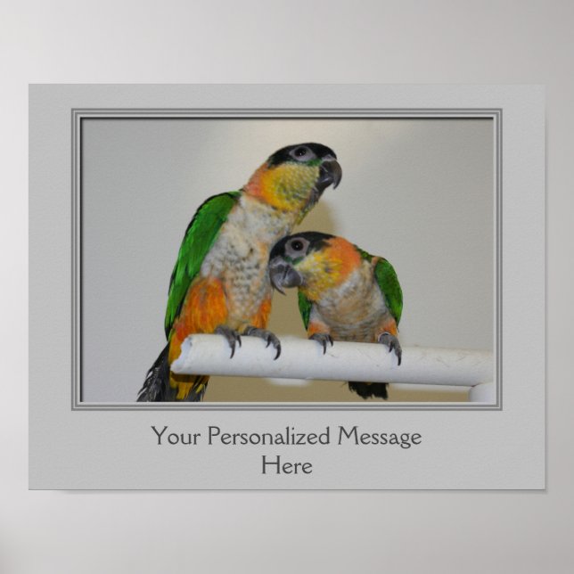 Black Headed Caique Parrots Personalized Poster (Front)