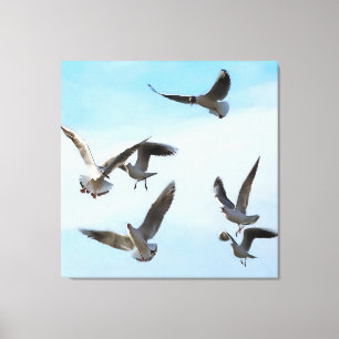 Black Headed Gulls Of The Bosphorus Art Canvas Print