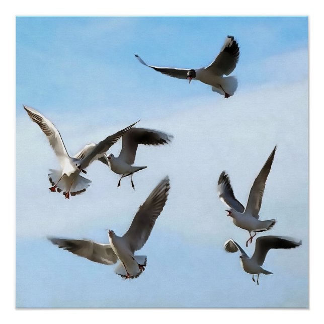 Black Headed Gulls Of The Bosphorus Art Poster (Front)