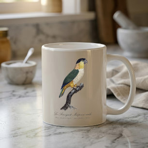 Black-Headed Male Parrot, Pionites Melanocephalus Coffee Mug