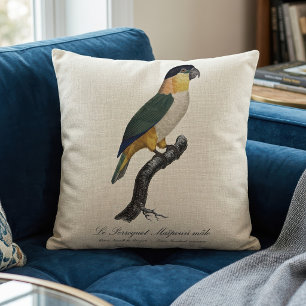 Black-Headed Male Parrot, Pionites Melanocephalus Cushion