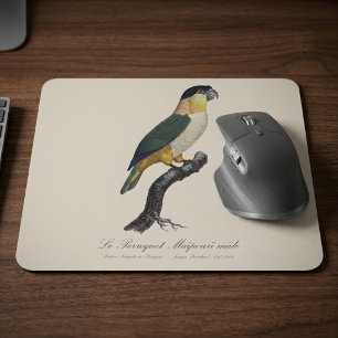 Black-Headed Male Parrot, Pionites Melanocephalus Mouse Mat