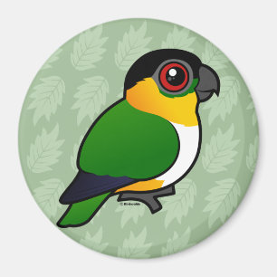 Black-headed Parrot Magnet