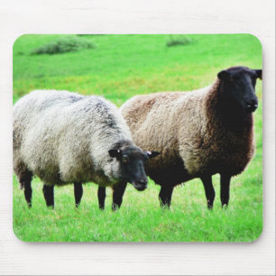 Black Headed Sheep Mouse Mat