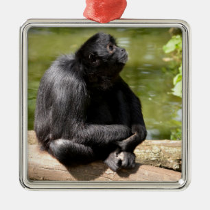 Black-headed spider monkey sitting on a tree trunk metal tree decoration