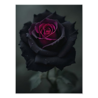 Black Heart Rose Photo Print