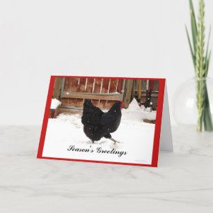 Black hen Strutting In Snow Greeting Cards