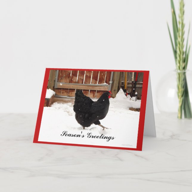 Black hen Strutting In Snow Greeting Cards (Front)
