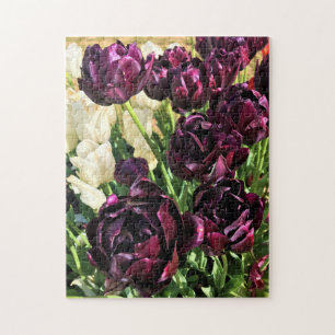 Black Hero Tulips, Oregon Jigsaw Puzzle