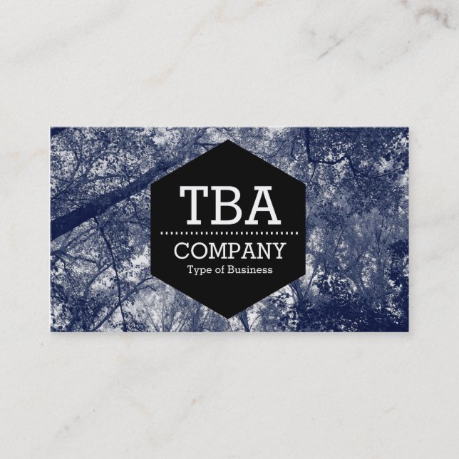 Black Hexagon - Blue Autumn Business Card (Front)