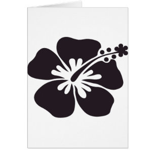 black hibiscus flower