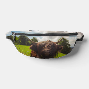 Black highland cow grazing green field sun light bum bags