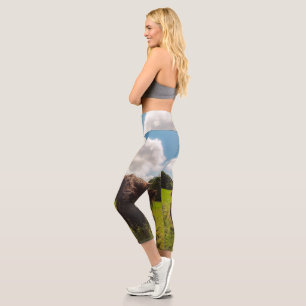Black highland cow grazing green field sun light capri leggings