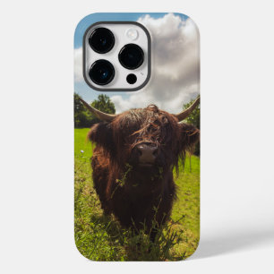 Black highland cow grazing green field sun light Case-Mate iPhone 14 pro case