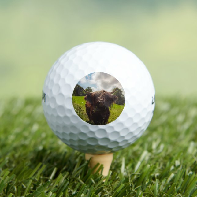 Black highland cow grazing green field sun light golf balls (Insitu Tee)