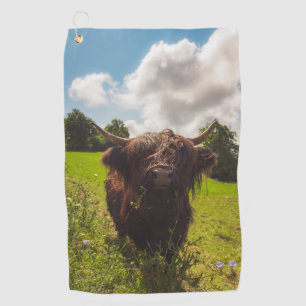 Black highland cow grazing green field sun light golf towel