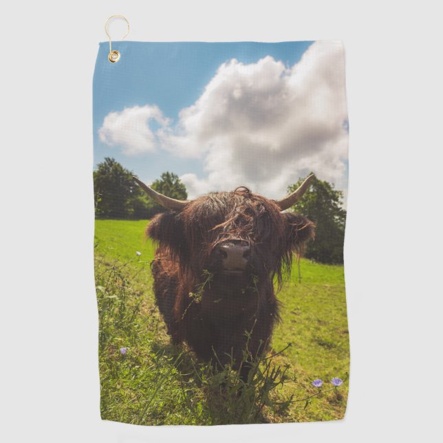 Black highland cow grazing green field sun light golf towel (Front)