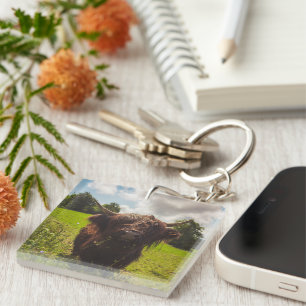 Black highland cow grazing green field sun light key ring