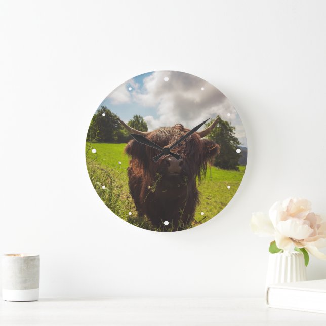 Black highland cow grazing green field sun light large clock (Home)