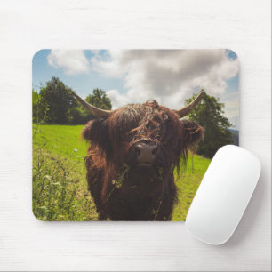 Black highland cow grazing green field sun light mouse mat