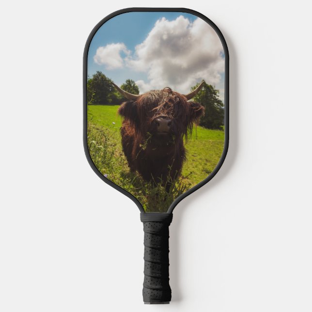 Black highland cow grazing green field sun light pickleball paddle (Front)