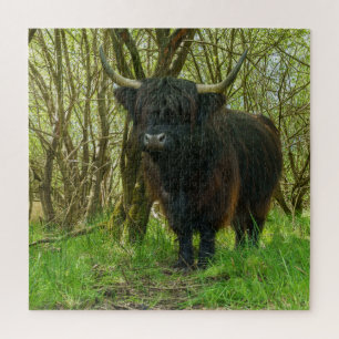 Black Highland Cow Jigsaw Puzzle