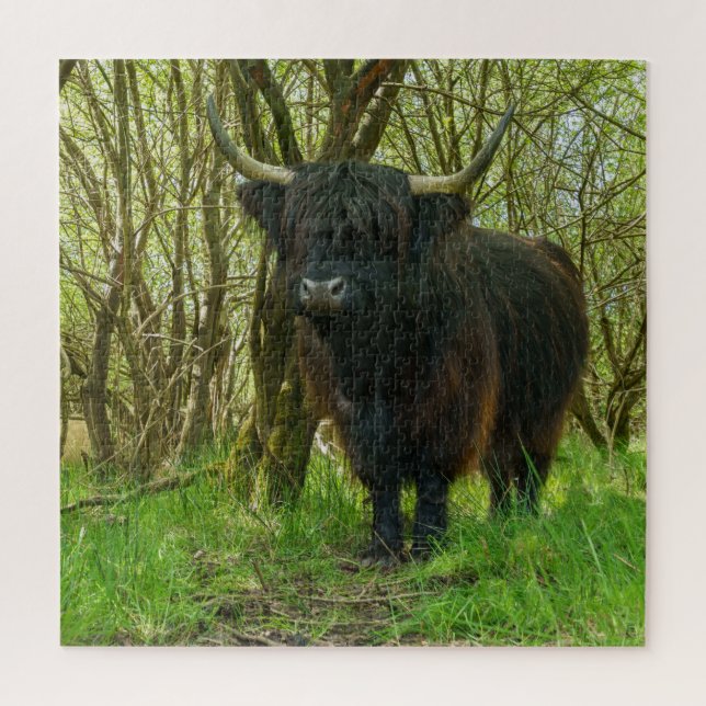 Black Highland Cow Jigsaw Puzzle (Vertical)