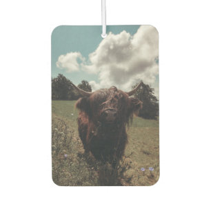 Black highland Scottish cow grazing vintage retro Car Air Freshener