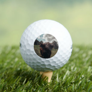 Black highland Scottish cow grazing vintage retro Golf Balls