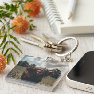 Black highland Scottish cow grazing vintage retro Key Ring